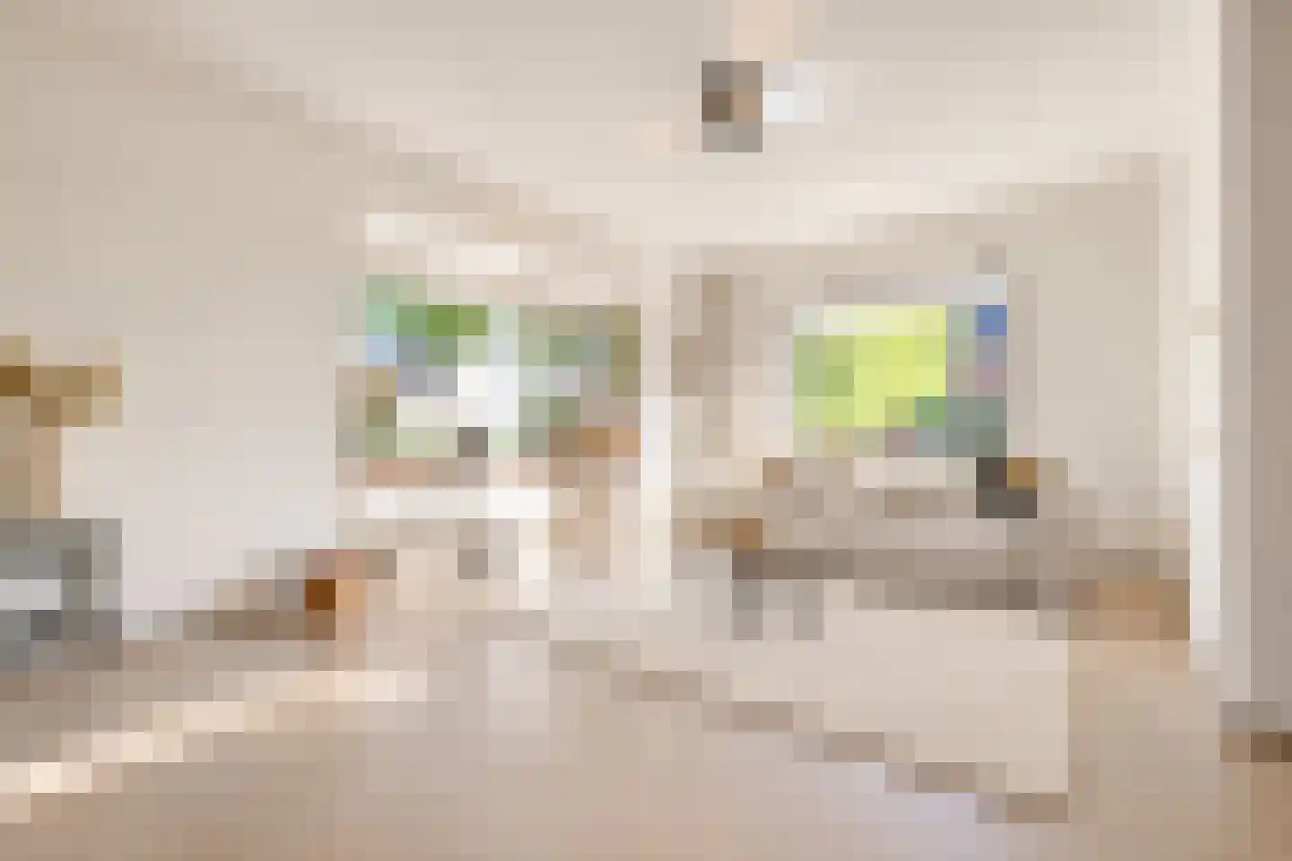 Oosteinde 88 Wormer thumbnail 4