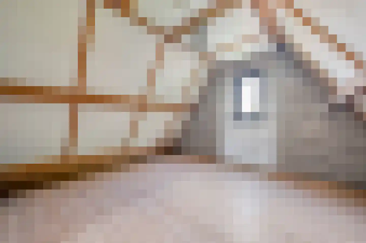 Oosteinde 88 Wormer thumbnail 42