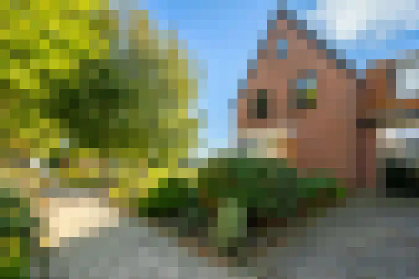 Oosteinde 88 Wormer thumbnail 45