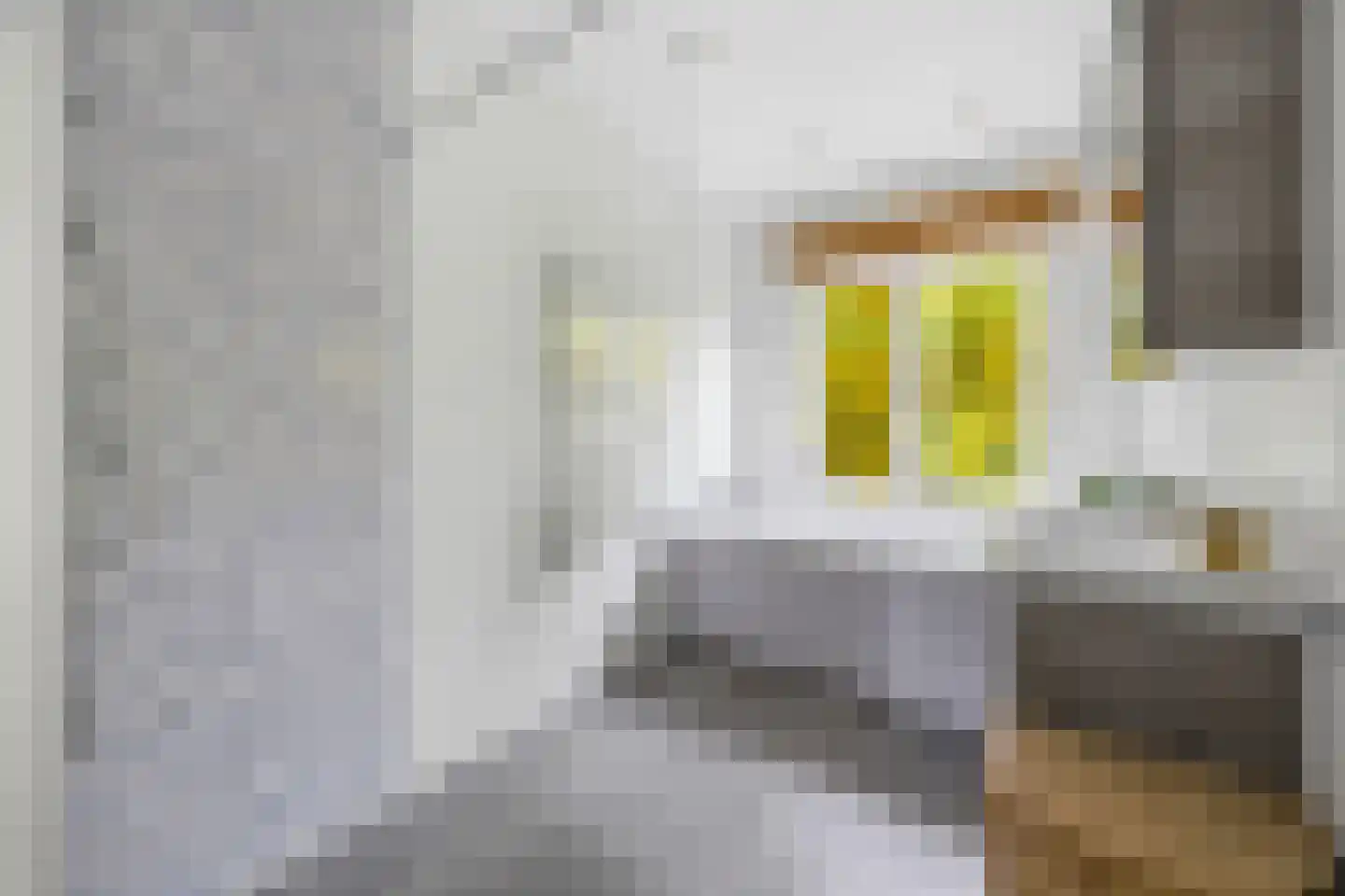 Oosteinde 93 Voorburg thumbnail 32