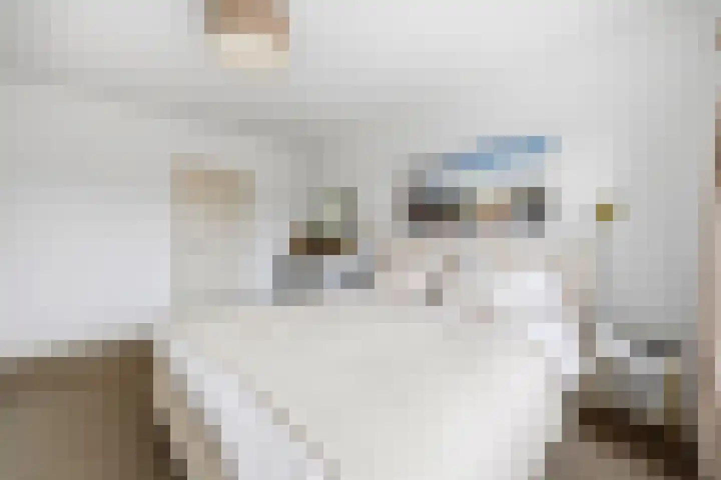 Oosteinde 93 Voorburg thumbnail 36