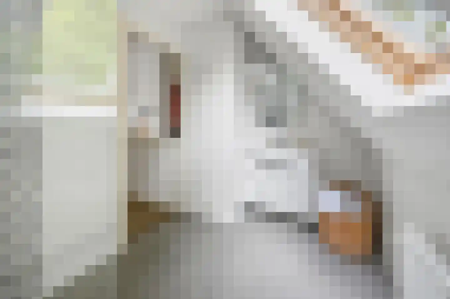 Oosteinde 93 Voorburg thumbnail 44