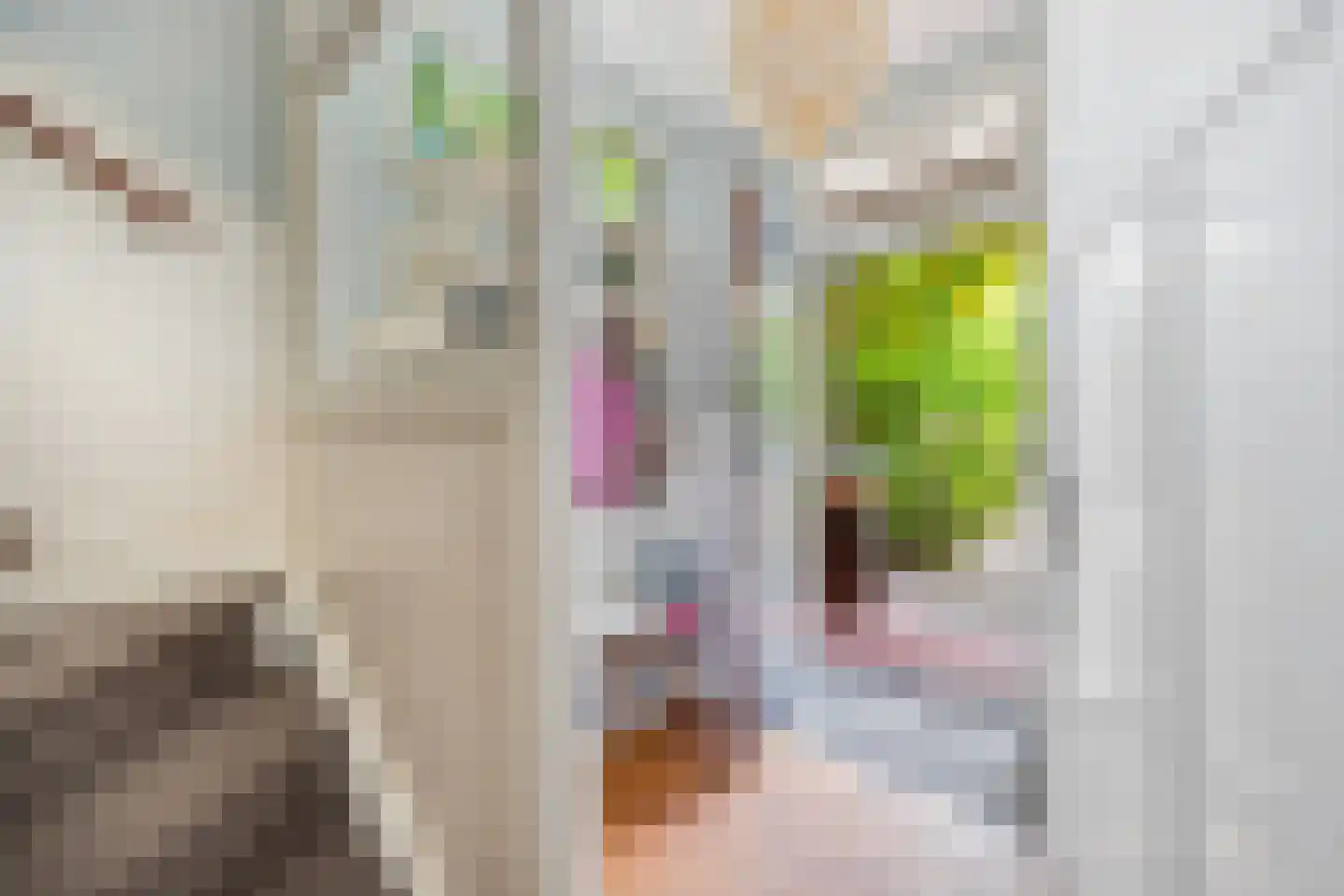 Oosteinde 93 Voorburg thumbnail 7