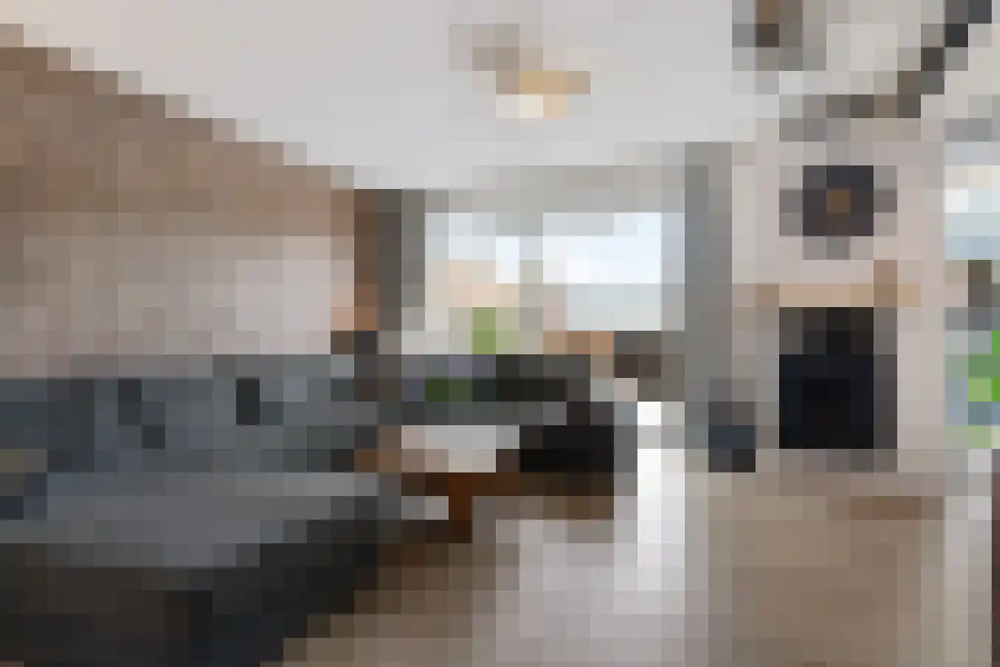 Oosteinderlaan 26 Hillegom thumbnail 5
