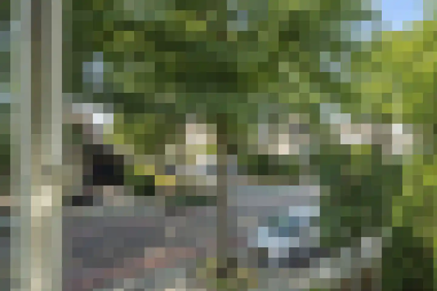 Oosteinderweg 115 Rosmalen thumbnail 17