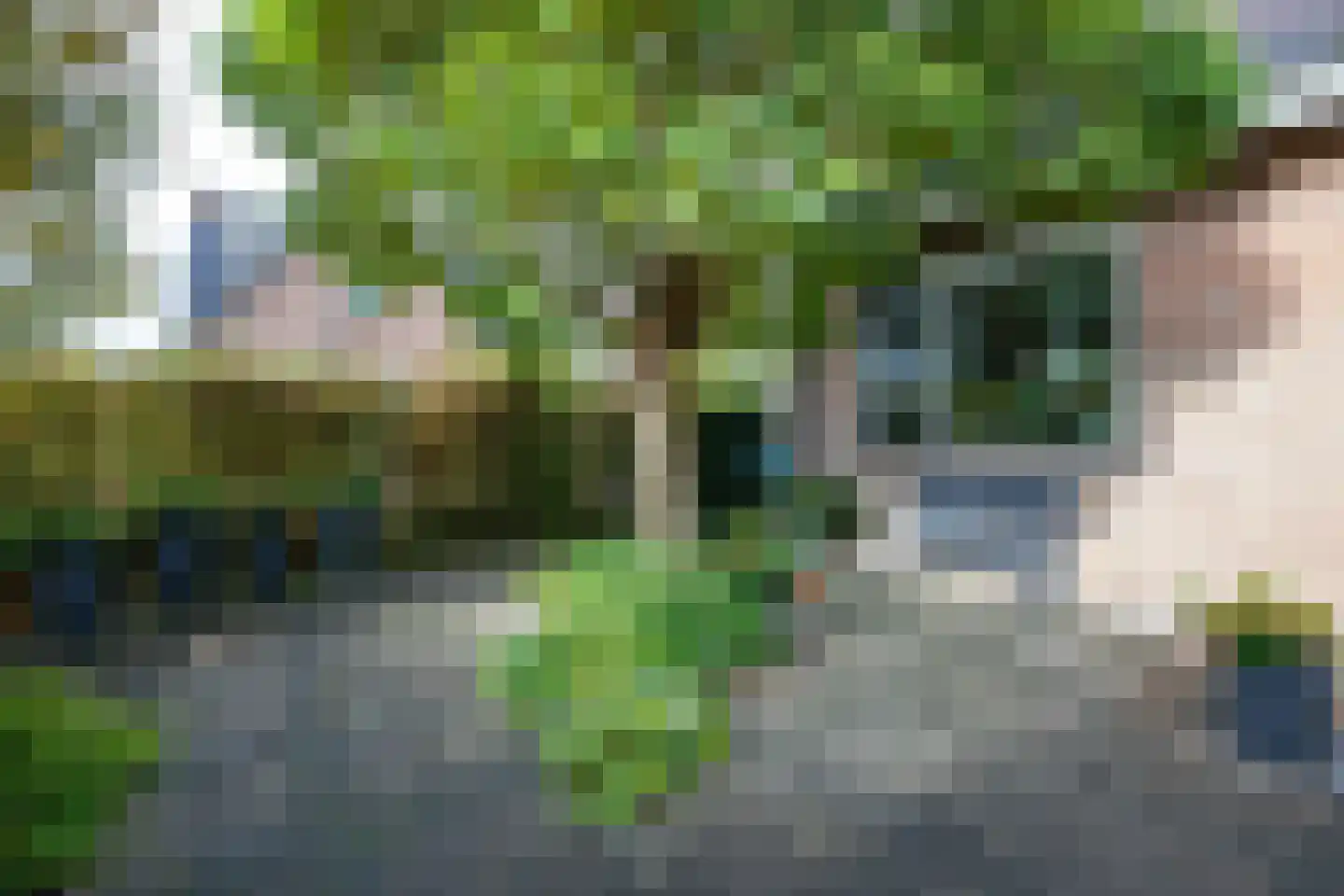 Oosteinderweg 116 Aalsmeer thumbnail 40