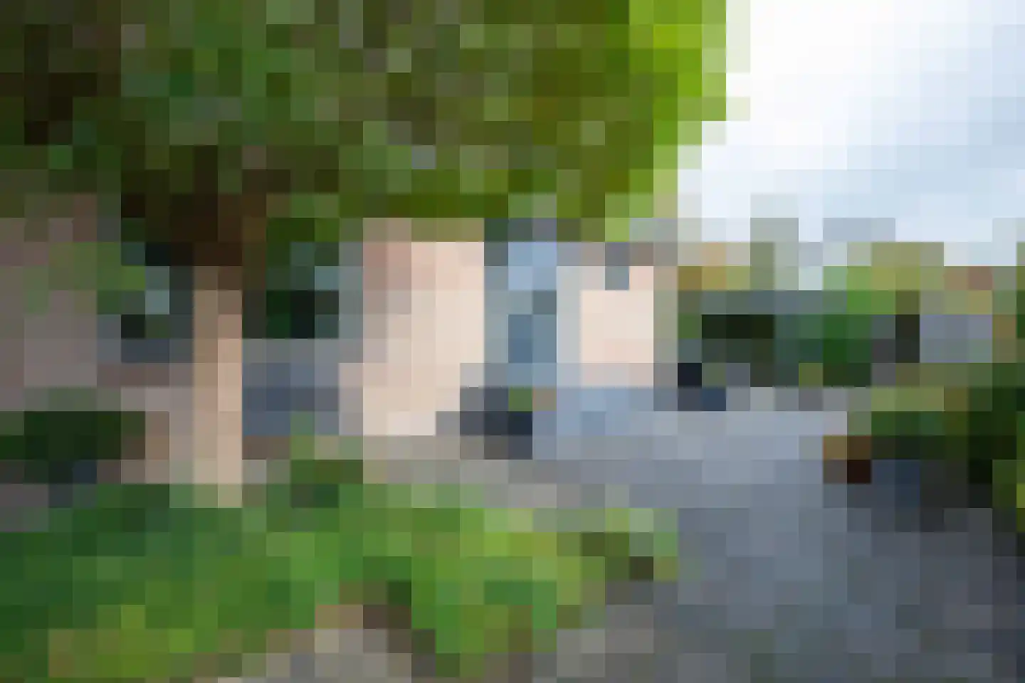 Oosteinderweg 116 Aalsmeer thumbnail 41