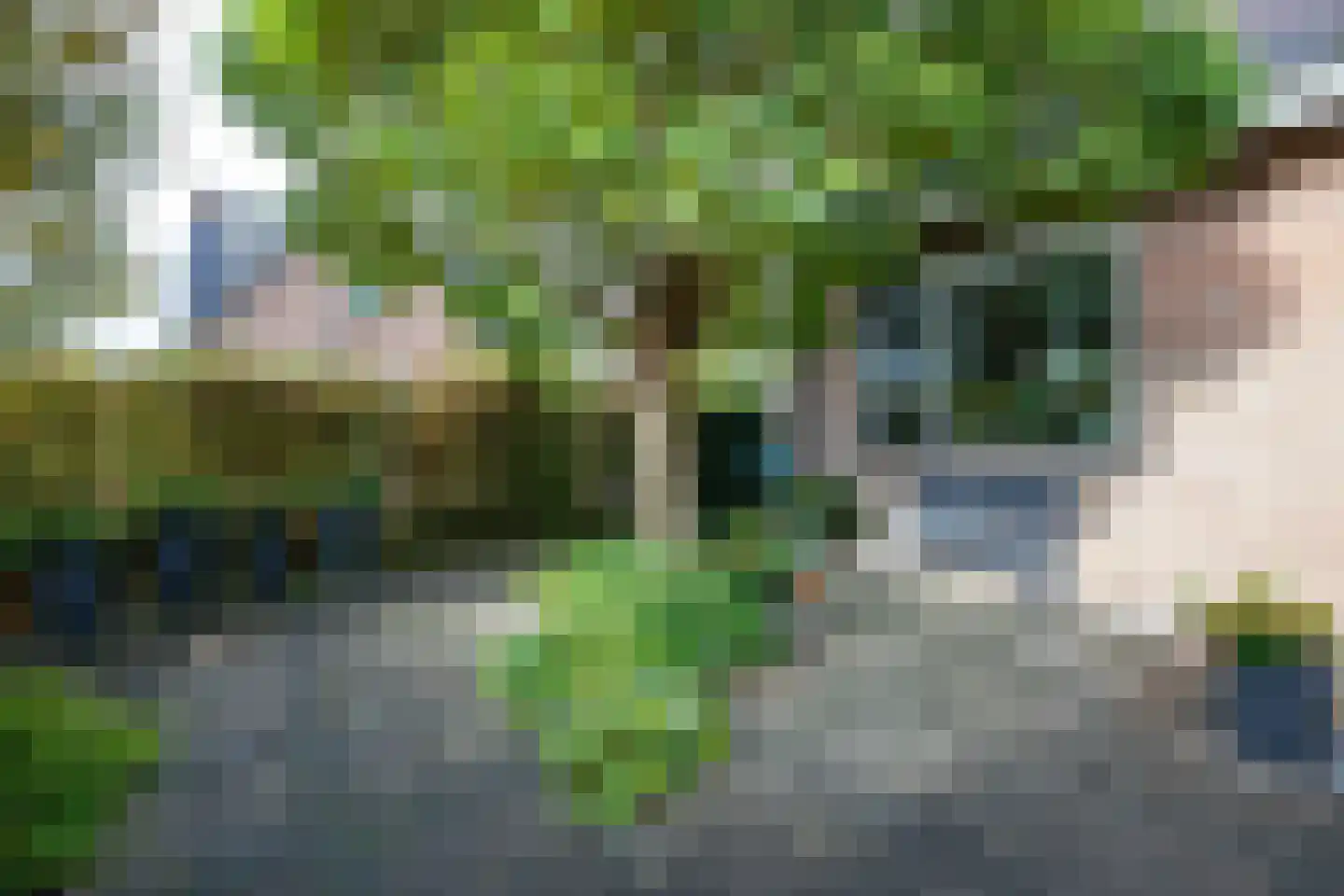 Oosteinderweg 116 Aalsmeer thumbnail 43