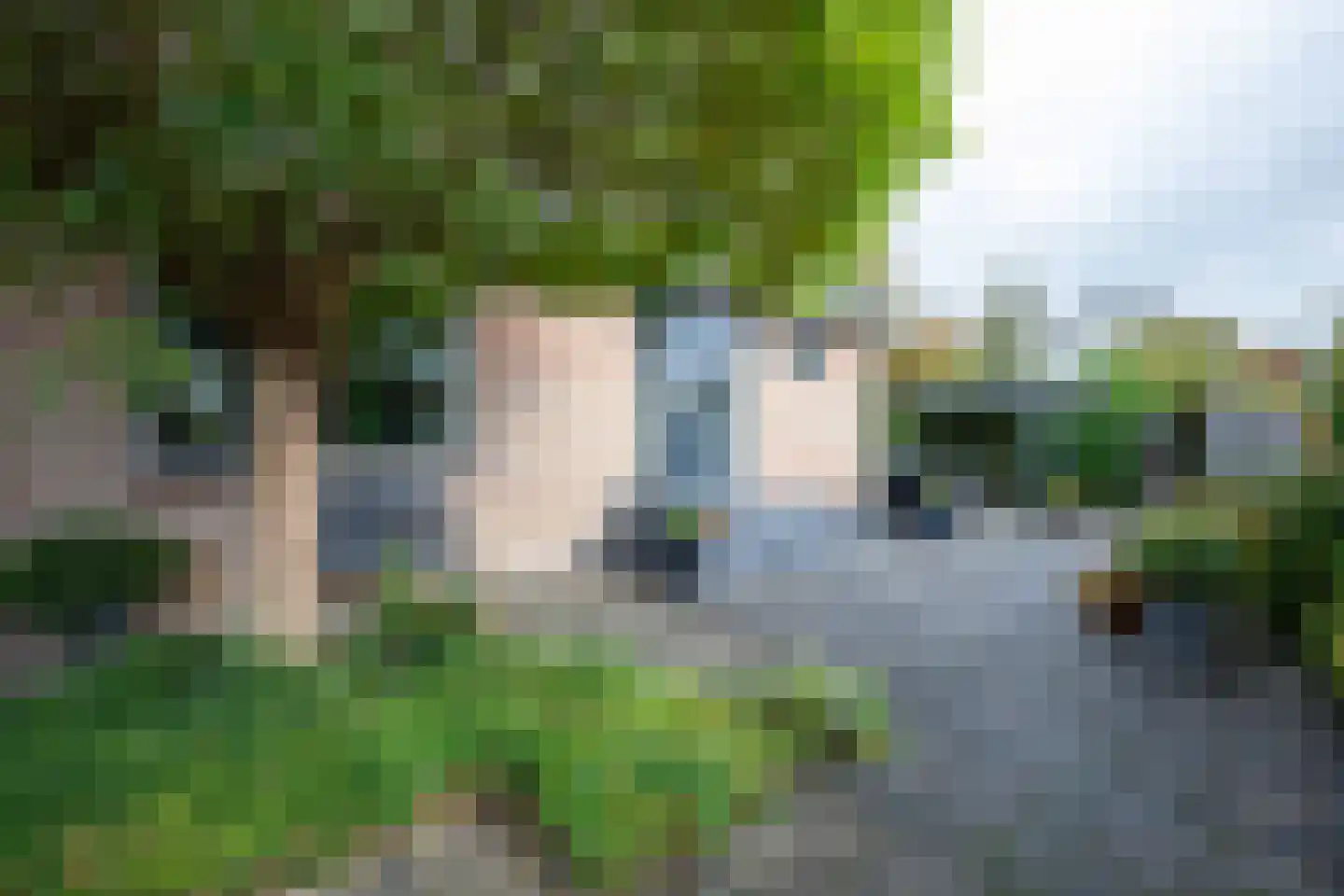 Oosteinderweg 116 Aalsmeer thumbnail 44