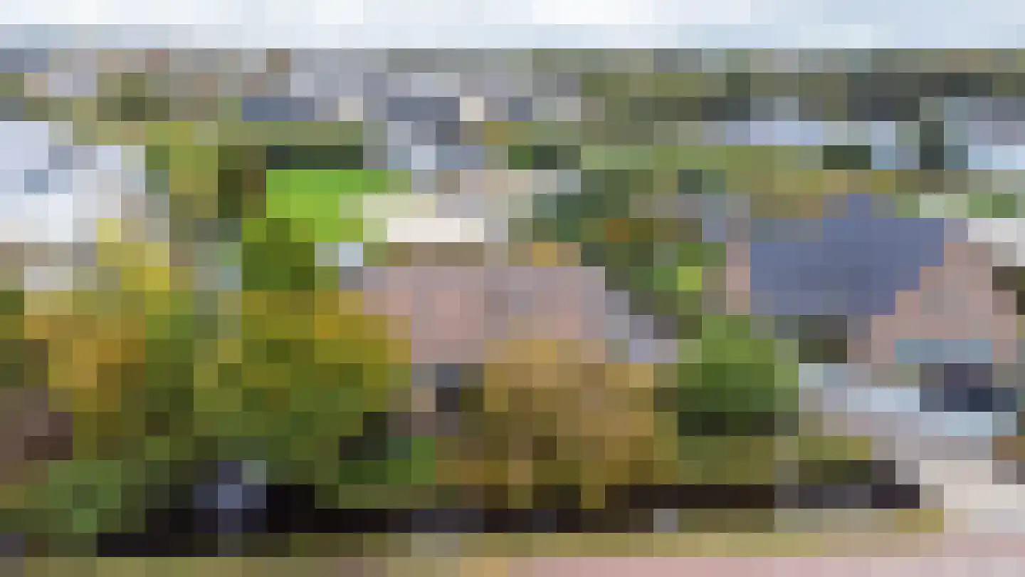 Oosteinderweg 116 Aalsmeer thumbnail 5