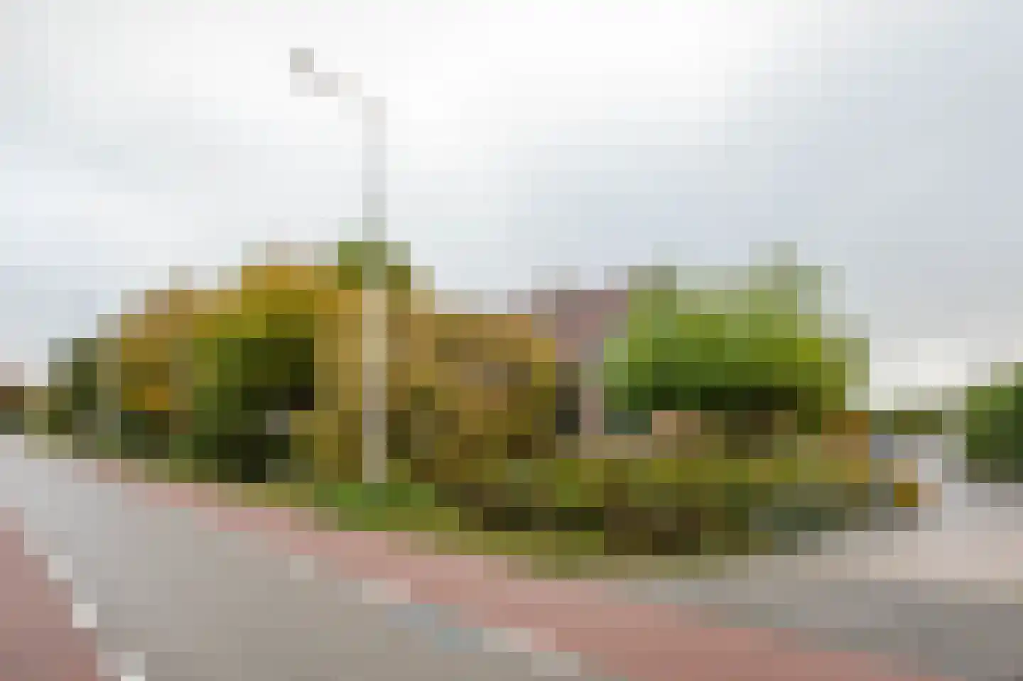 Oosteinderweg 116 Aalsmeer thumbnail 6