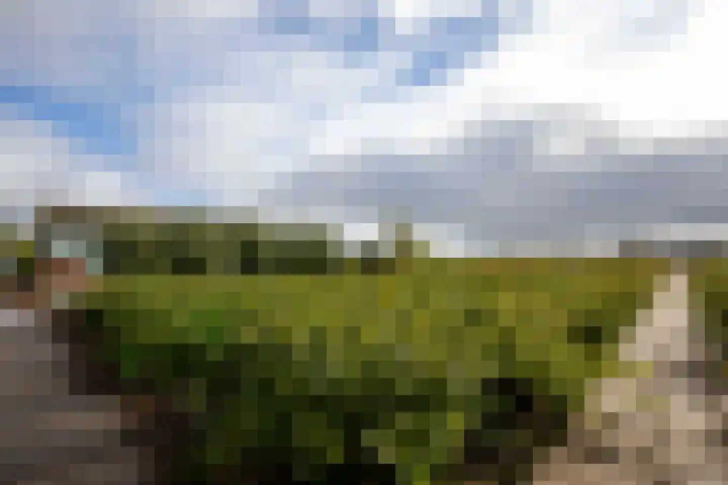 Oosteinderweg 116 Aalsmeer thumbnail 76