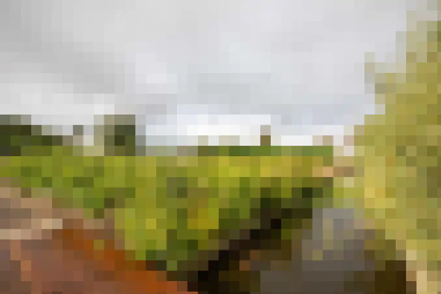Oosteinderweg 116 Aalsmeer thumbnail 77