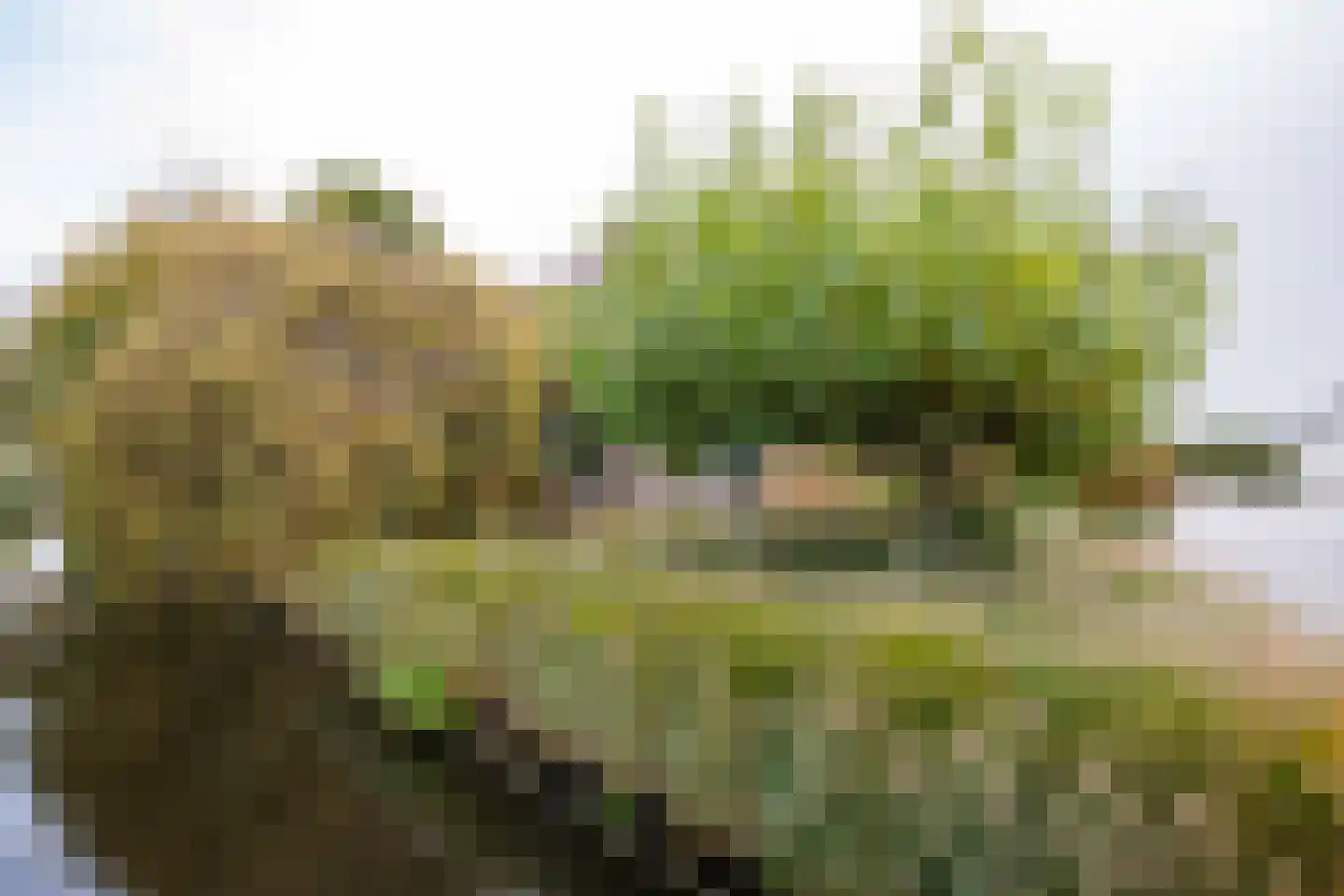 Oosteinderweg 116 Aalsmeer thumbnail 9
