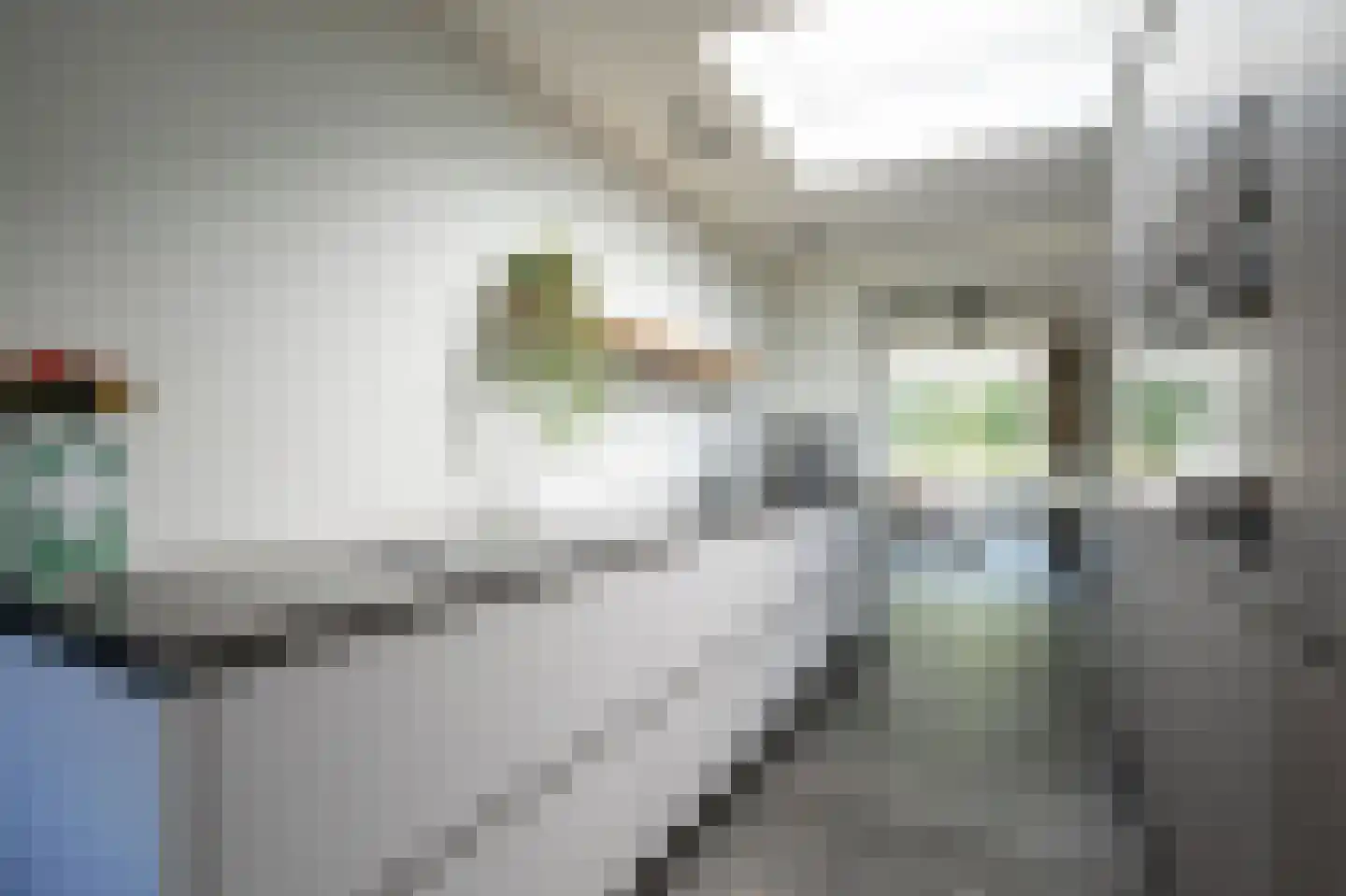 Oosteinderweg 121 b Aalsmeer thumbnail 14