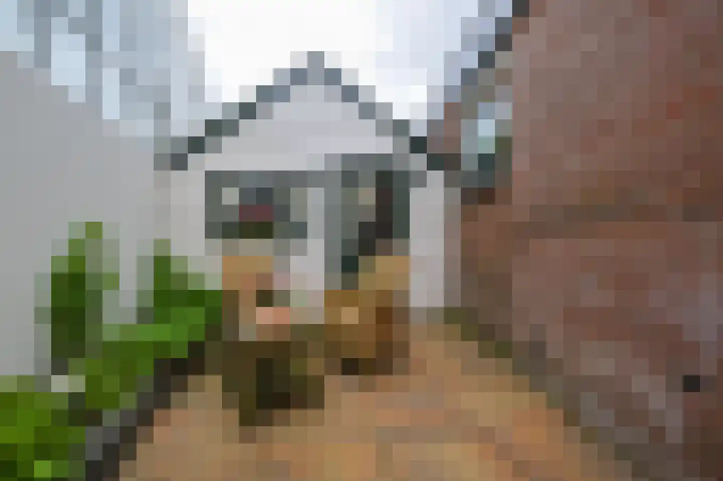 Oosteinderweg 122 Aalsmeer thumbnail 21