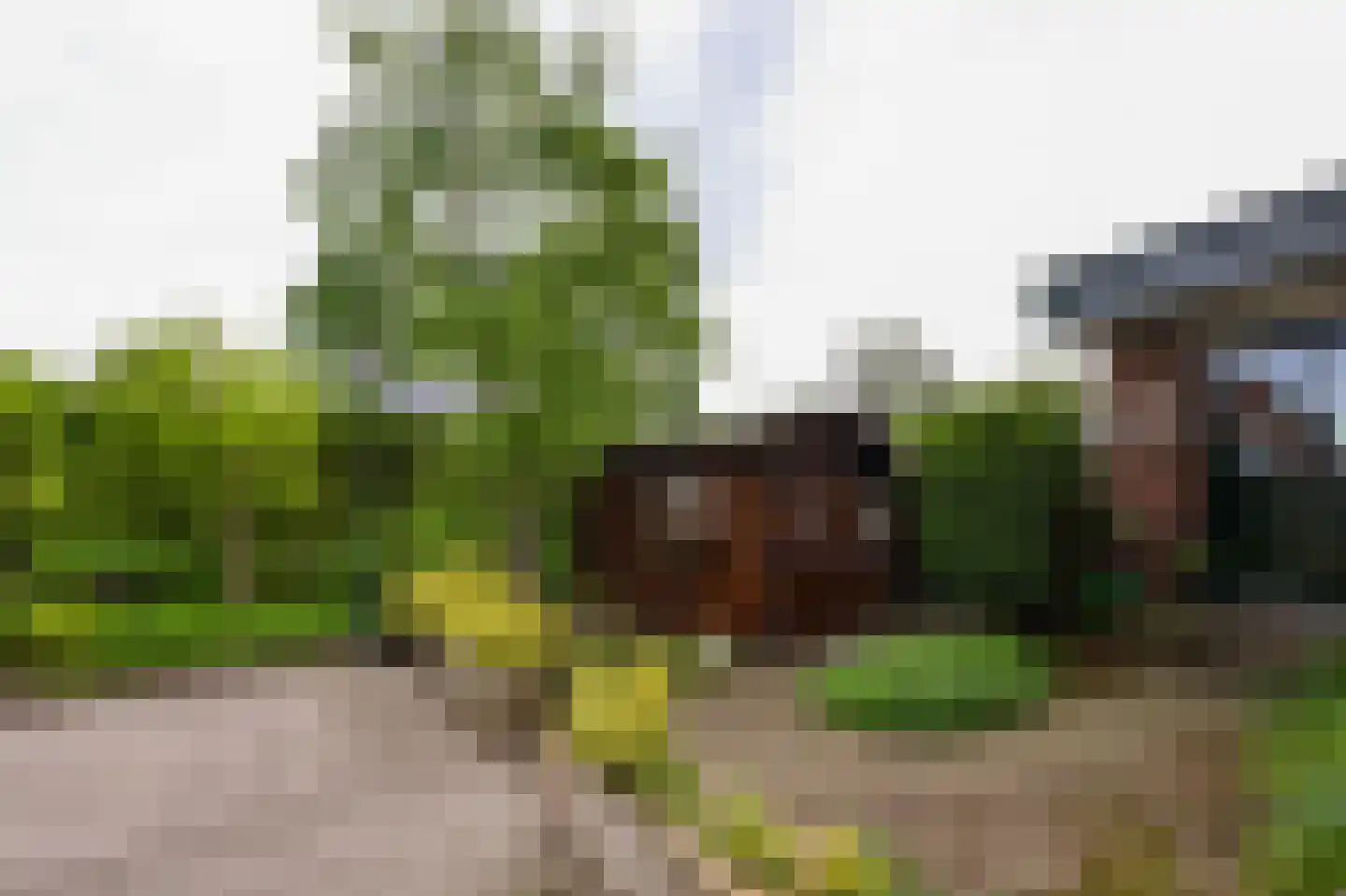 Oosteinderweg 122 Aalsmeer thumbnail 22