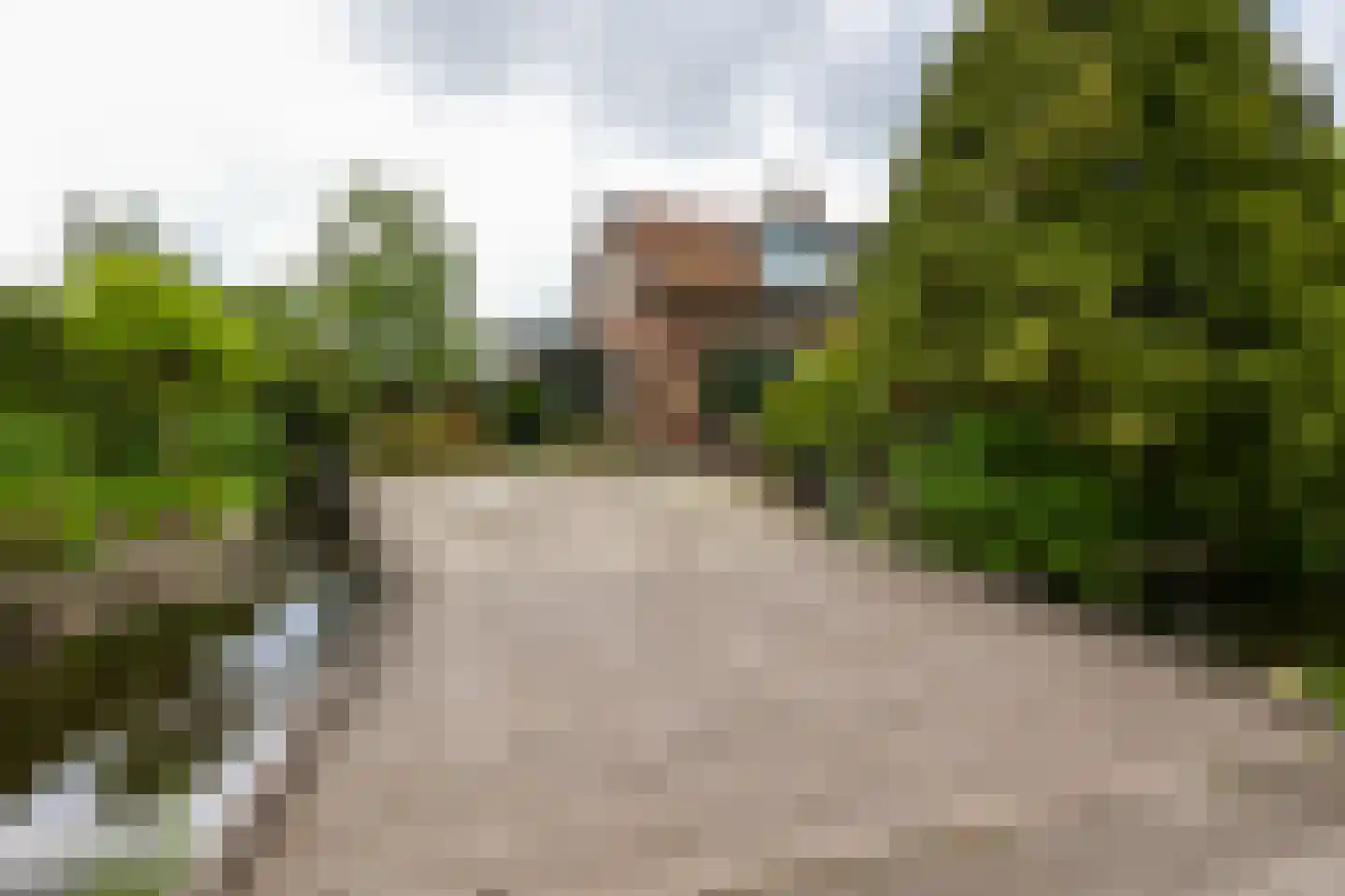 Oosteinderweg 122 Aalsmeer thumbnail 23