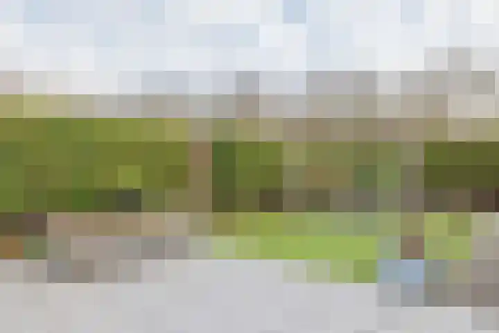 Oosteinderweg 13 Velsen-Zuid thumbnail 8