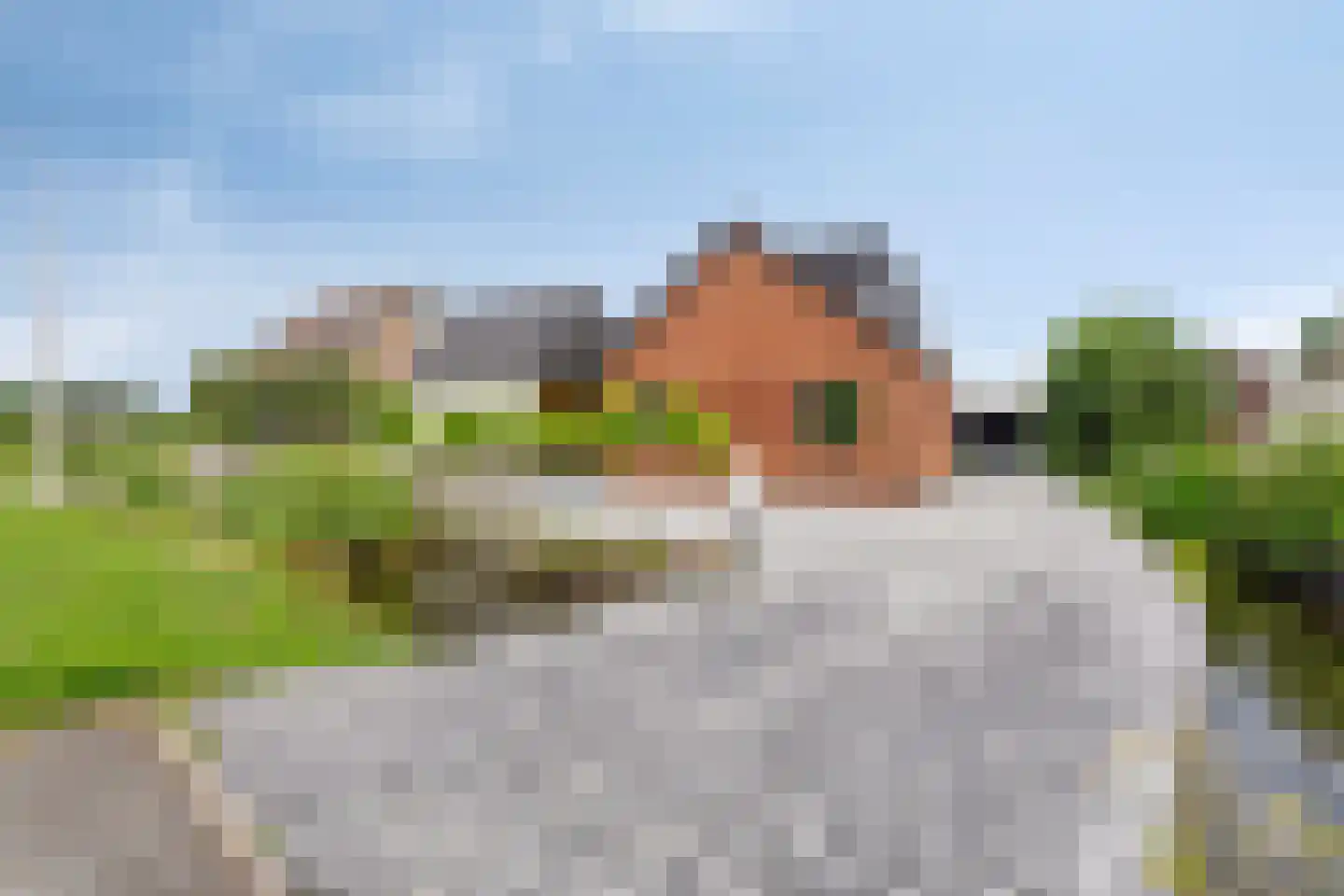 Oosteinderweg 184 Aalsmeer thumbnail 20