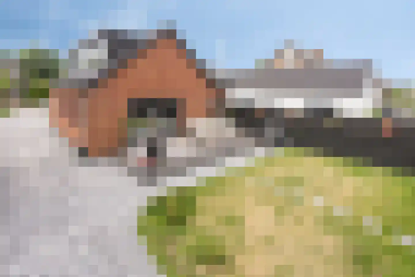 Oosteinderweg 184 Aalsmeer thumbnail 28