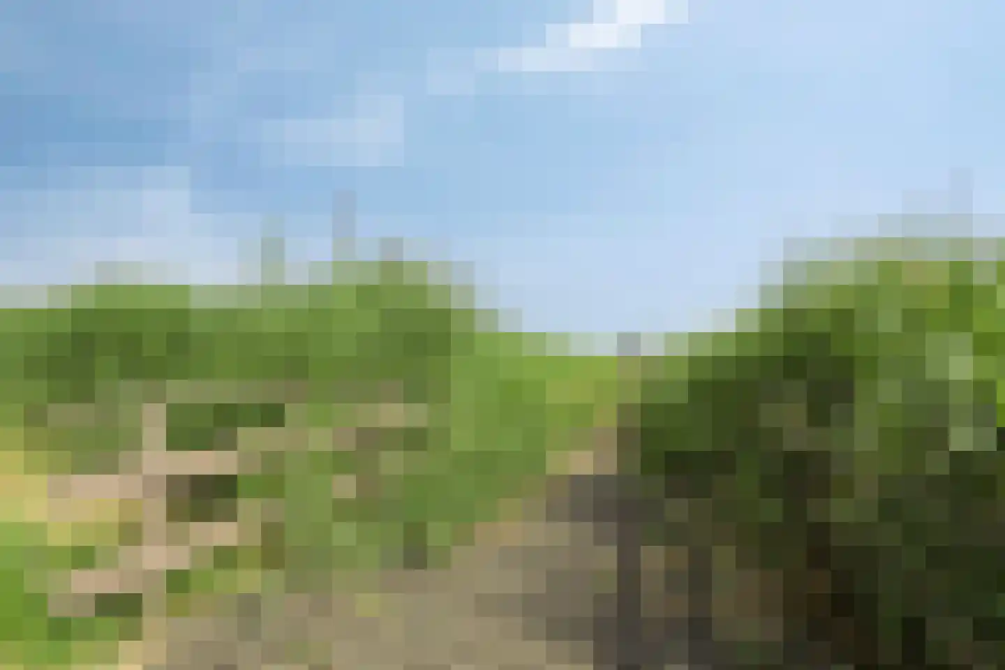Oosteinderweg 184 Aalsmeer thumbnail 35