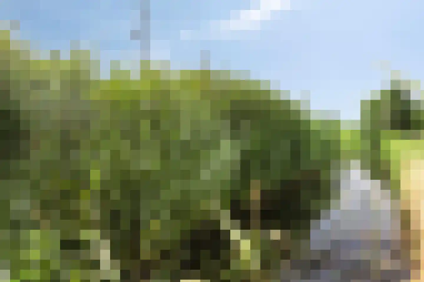 Oosteinderweg 184 Aalsmeer thumbnail 36
