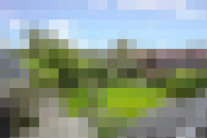 Oosteinderweg 2 a Wognum thumbnail 39