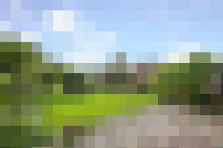 Oosteinderweg 2 a Wognum thumbnail 41