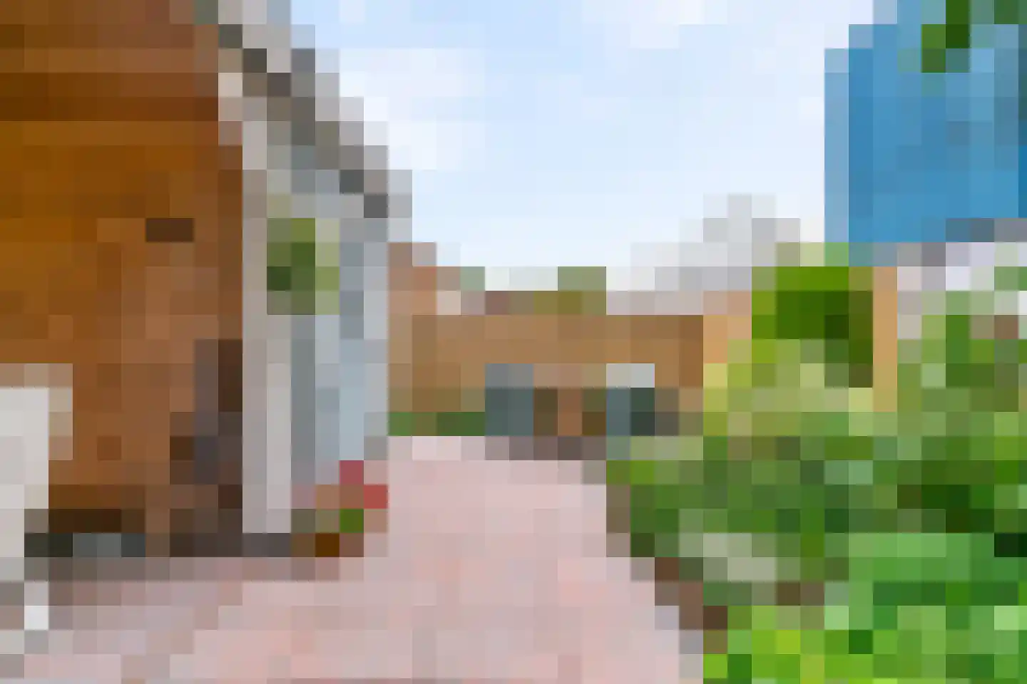 Oosteinderweg 216 Aalsmeer thumbnail 21