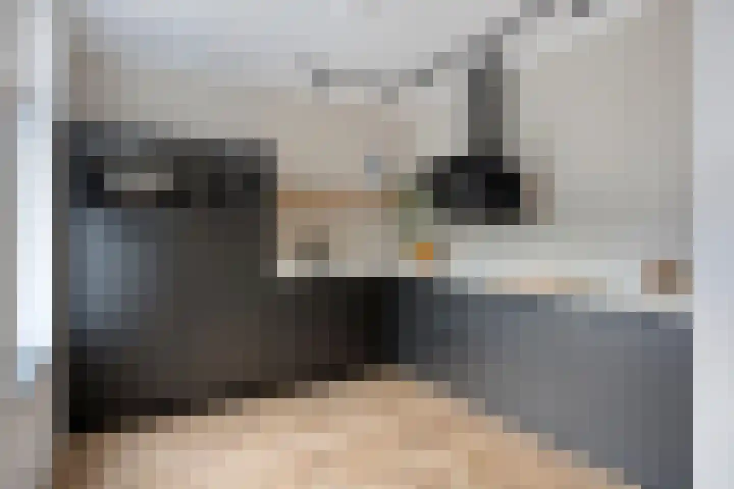Oosteinderweg 221 Aalsmeer thumbnail 12