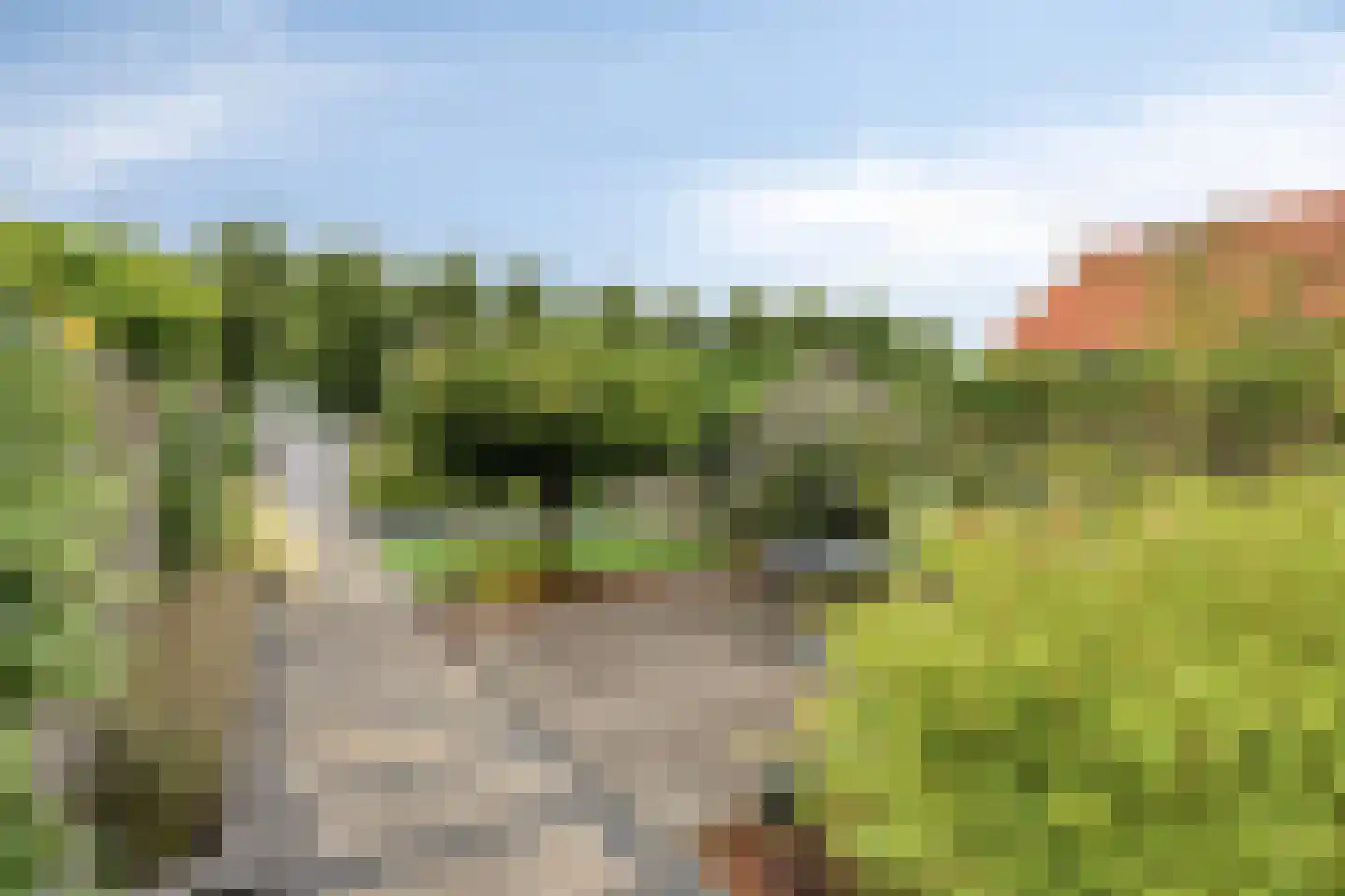 Oosteinderweg 221 Aalsmeer thumbnail 26