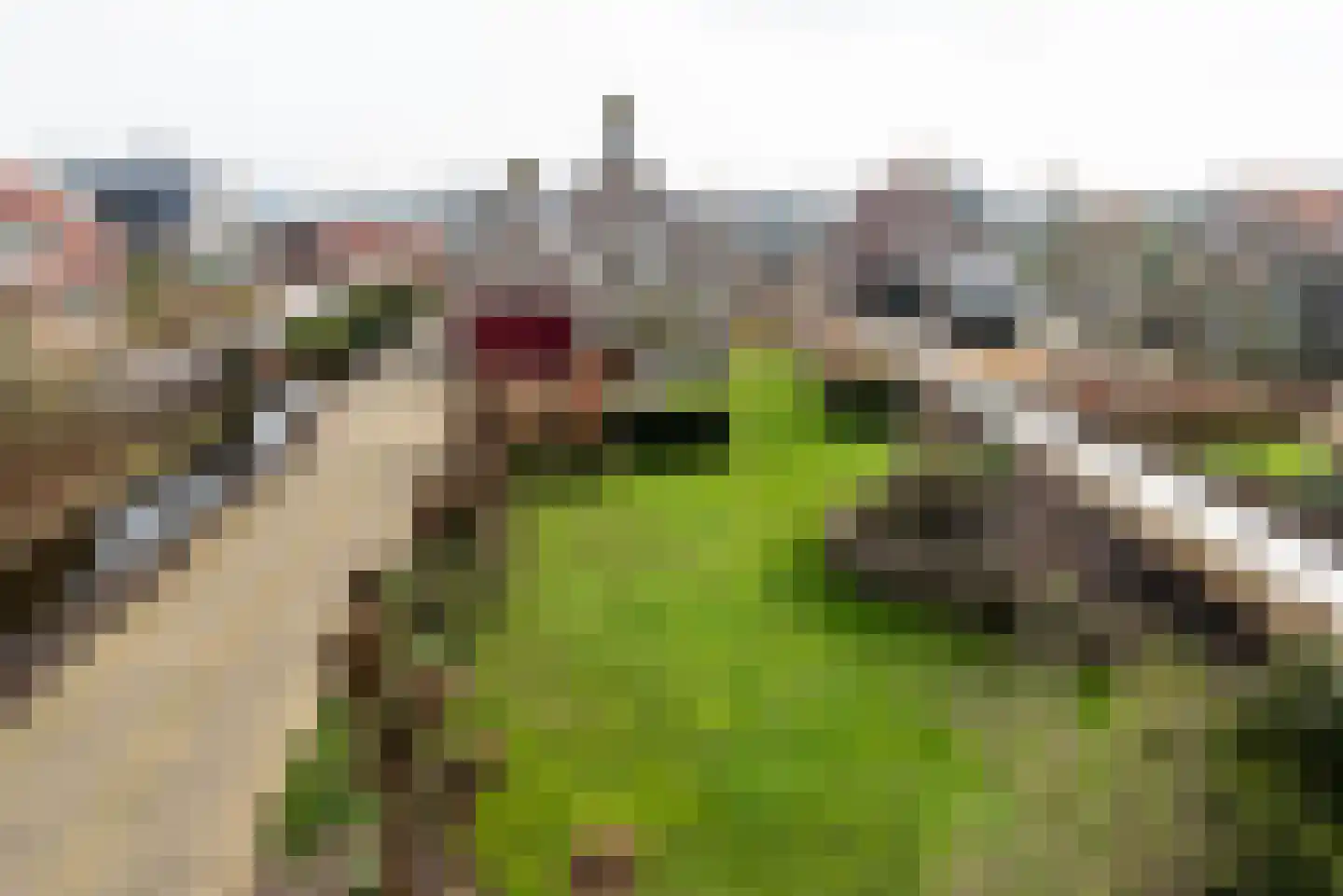 Oosteinderweg 301 Aalsmeer thumbnail 36