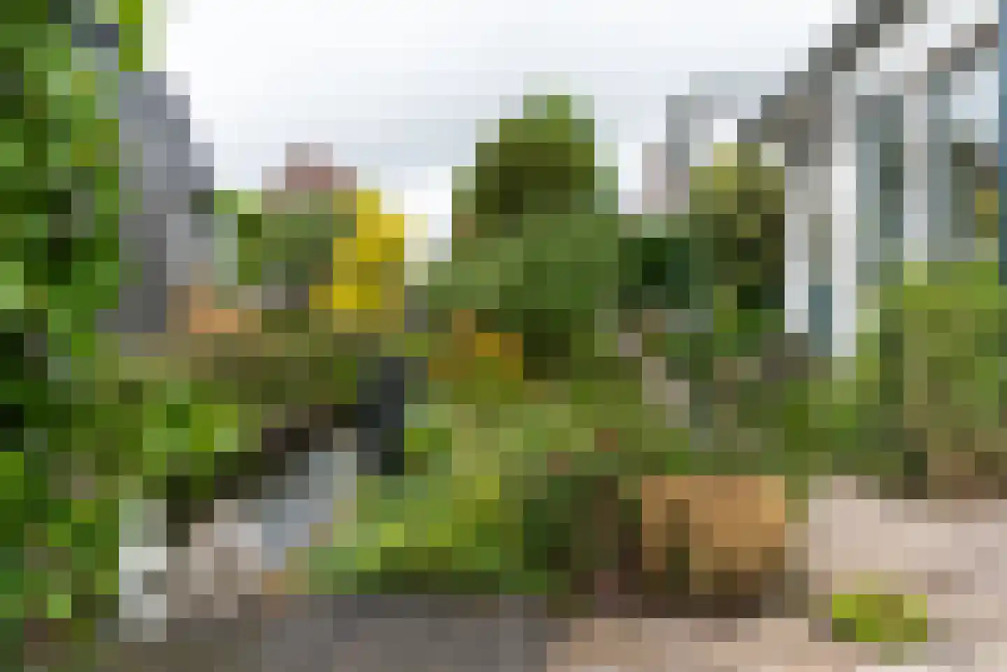 Oosteinderweg 308 Aalsmeer thumbnail 6
