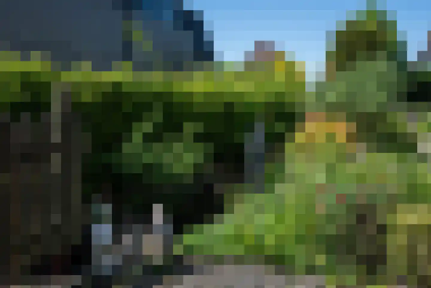 Oosteinderweg 308 Aalsmeer thumbnail 7