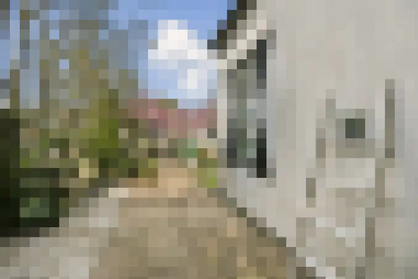 Oosteinderweg 316 Aalsmeer thumbnail 10