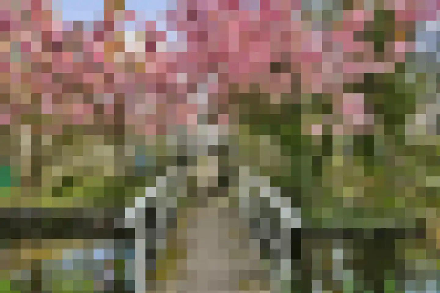 Oosteinderweg 316 Aalsmeer thumbnail 17