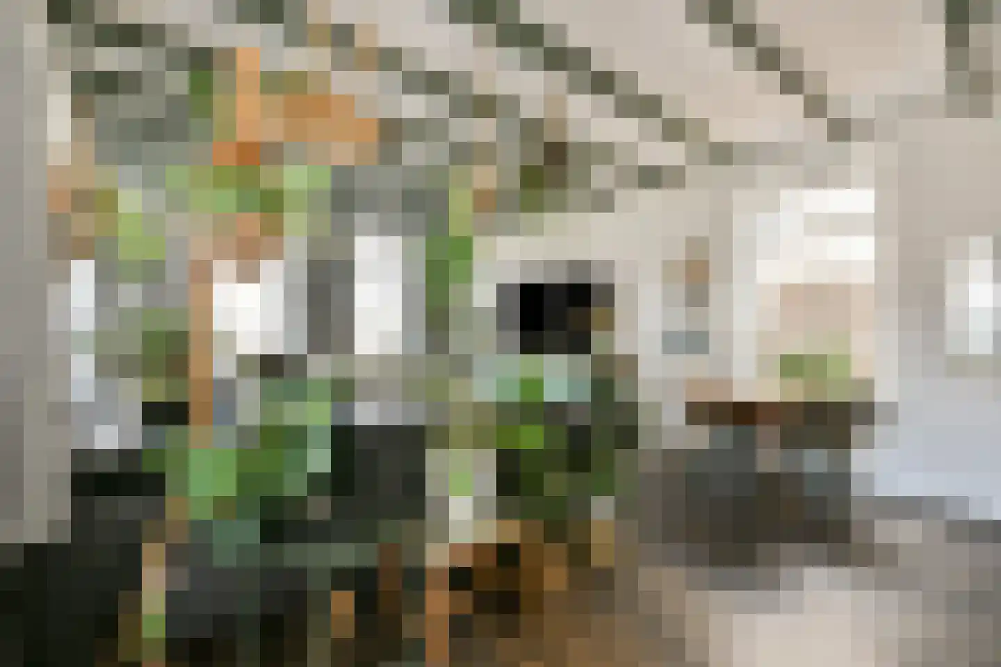 Oosteinderweg 316 Aalsmeer thumbnail 4