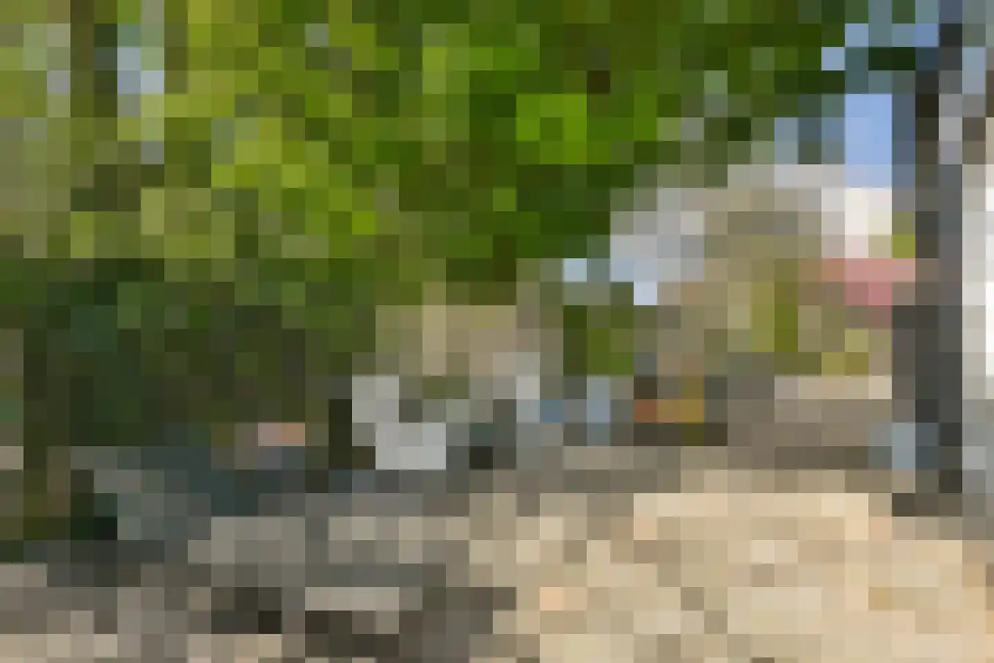 Oosteinderweg 316 Aalsmeer thumbnail 9