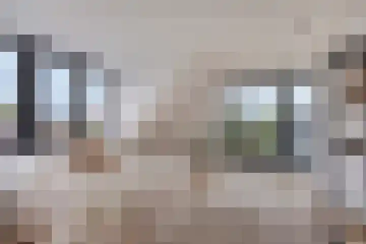 Oosteinderweg 320 Aalsmeer thumbnail 27