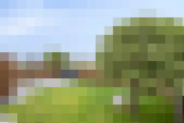Oosteinderweg 320 Aalsmeer thumbnail 38