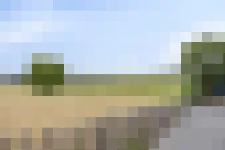 Oosteinderweg 320 Aalsmeer thumbnail 44