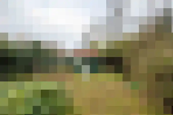 Oosteinderweg 353 Aalsmeer thumbnail 22