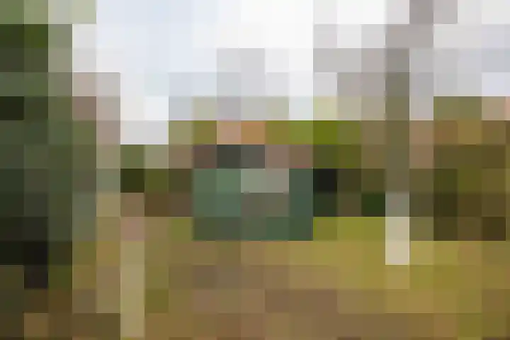 Oosteinderweg 353 Aalsmeer thumbnail 23