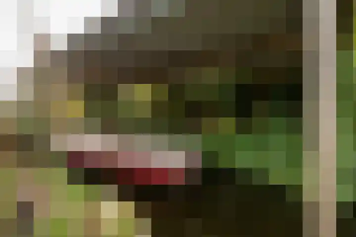 Oosteinderweg 353 Aalsmeer thumbnail 4