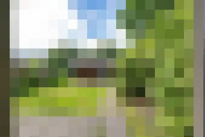 Oosteinderweg 37 b Aalsmeer thumbnail 29