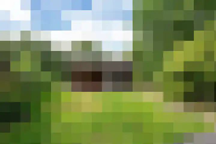 Oosteinderweg 37 b Aalsmeer thumbnail 30