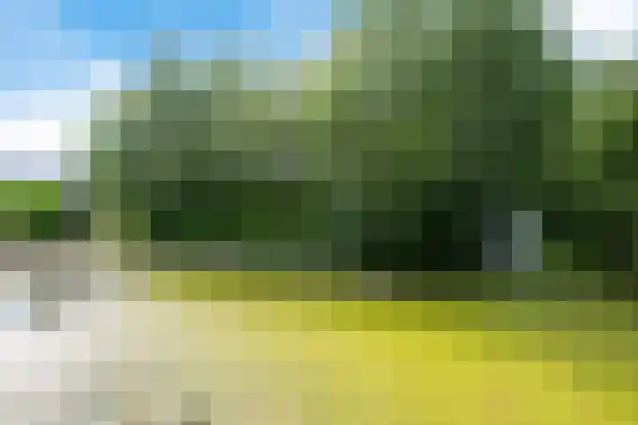 Oosteinderweg 37 b Aalsmeer thumbnail 32