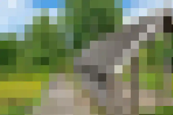 Oosteinderweg 37 b Aalsmeer thumbnail 33