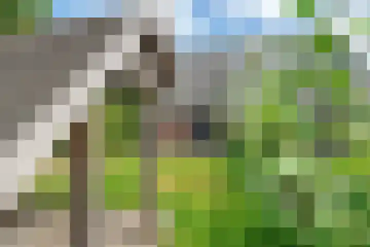 Oosteinderweg 37 b Aalsmeer thumbnail 34
